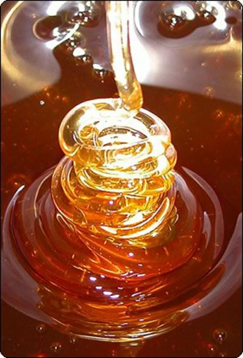 100%натуральный подсолнечный и цветочный мед